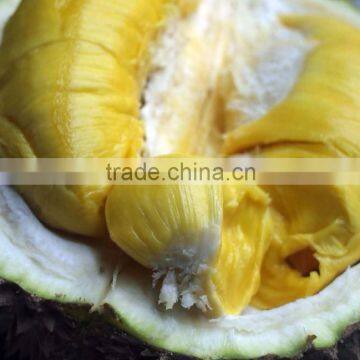Frozen Mongthong Durian Whole photo-3