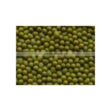 organic mung bean