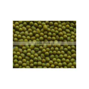 Organic Mung Bean