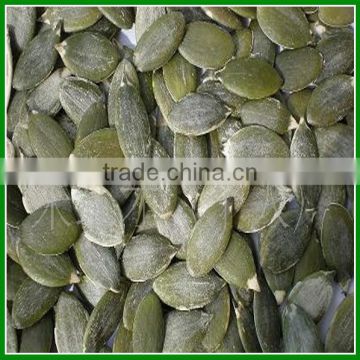 Hot Sale 2015 New Crop Pumpkin Seeds Kernels With High Quality For Human Snack