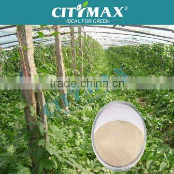 High Quality Amino Acid In Agriculture