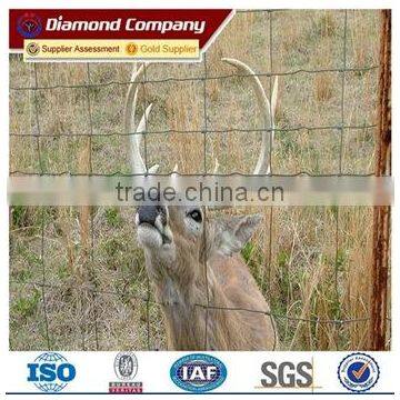 Professional Manufacturer Metal Horse Fence Mesh For Sale