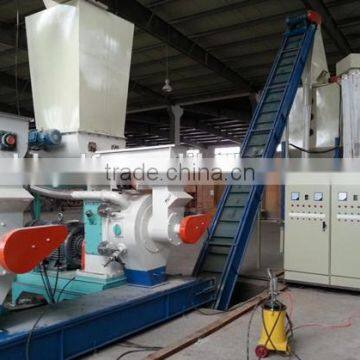 Efficient Automatic Efficient EFB Pellet Mill Made in China Exported to Thailand photo-2