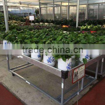 Qingdao Garden Bed for Flower photo-3