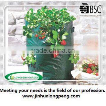 Popular PE Strawberry Planter Bag,Grow Bag