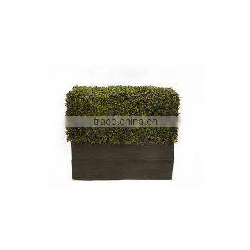 SJ0411013 Garden Decoration Artificial Plastic Milan Boxwood Hedge photo-2