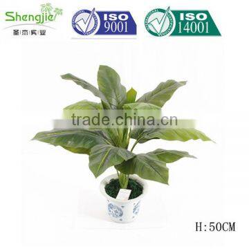 China, Guangdong Artificial Decor Bonsai for Sale photo-2