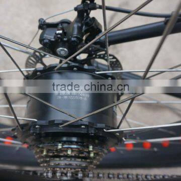 2016 Best Seller Electric Bike Big Power 48V 750W Electric Fat Bicycle photo-5