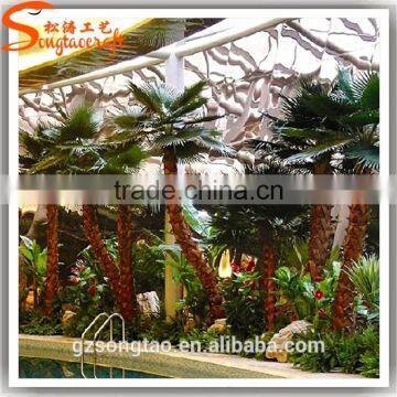 Preserved and Replica Trees Plam Data Tree photo-5