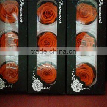 Long Lasting Good Price A Grade Preserved Rose 6-7 cm Big Bud From Yunnan photo-3
