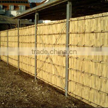 Tonkin Bamboo Fence Tonkin Cane Fence Bamboo Screen photo-5