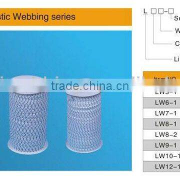 Little Elastic Webbing