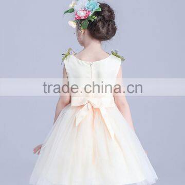 2017 Sun Dresses Summer Flowers Beach Dress photo-5