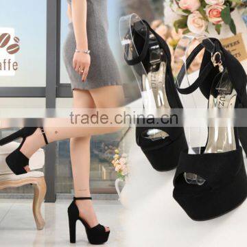 Zm50324b Summer New Style Chunky Heels Ladies Sandal 14cm Women Shoes High Heels photo-4