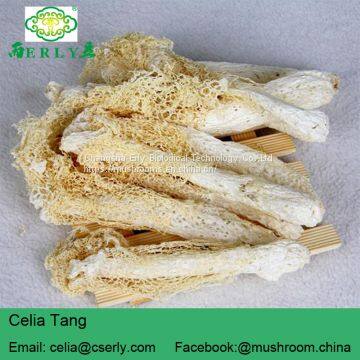 Wild Growing Mushroom Bamboo Fungus Tasty Dictyophora photo-5