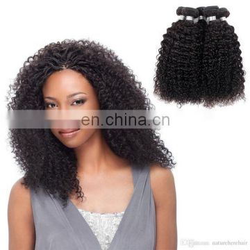 2017 hot sale kinky curly hair salon 100% human virgin indian woman long hair sex