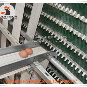 Mexico Poultry Farm A Type Battery Layer Chicken Cage with 90 Birds with Automatic Feeding Machine