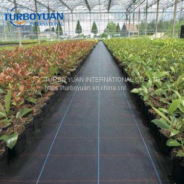Dust Control Polypropylene Anti-weed Mat Supplier photo-3