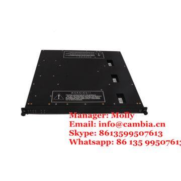 Triconex 3704E