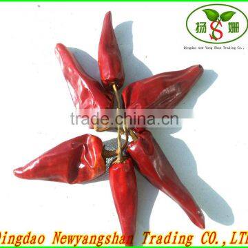 YIDU Chili Powder/Cayenne Pepper Exporters photo-4