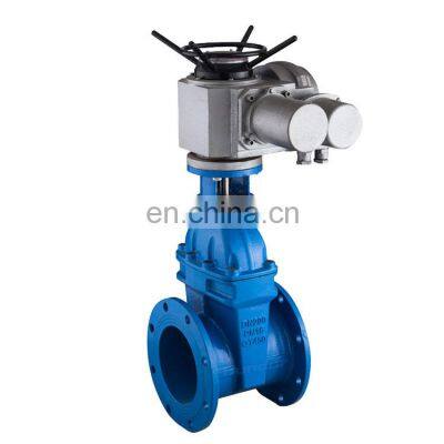 Bundor 14 inch ss316 12v electric water gate valve