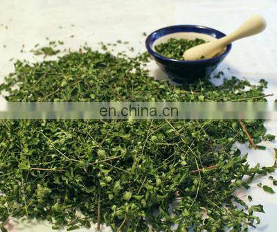 Organic Moringa Pellets Green/100% Pure Organic Moringa Leaf/Good Choice Dried Moringa Leaf For Tea Made in Vietnam photo-5