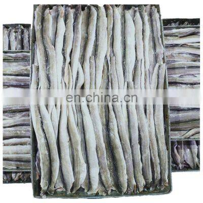 top quality sea frozen eel fish fillet frozen conger eel fillet 90-200g head off tail off gutted off