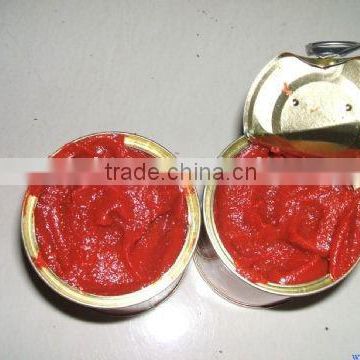 canned tomato paste