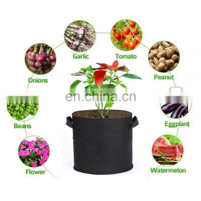 Amazon Hot Sold 3 5 100 Gallon Plant Felt Bag Non Woven Planter Pot Non-Woven Fabric Plants Eco Friendly Garden Grow Bags photo-5