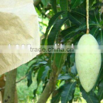 Malaysia Vietnam Sri Lanka Kraft Paper Mango Protection Bag photo-5