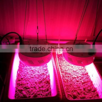 High Power 50W 75W Led Grow light for Tomato spinach