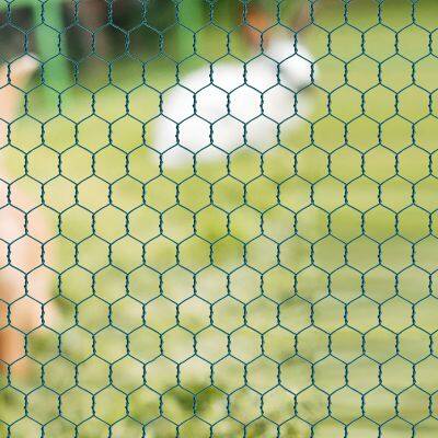 Bird Screen Netting Chicken Wire Mesh Welded Wire Mesh Galvanized Wire Mesh Custom Malla Pvc Coated Plastic Hexagonal Iron Wire Mesh photo-2