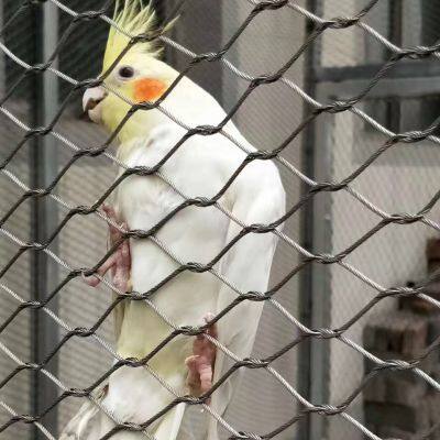 Hochfester, verknoteter Edelstahlseilnetz für Outdoor-Zoo-Vogelgehege-Netz