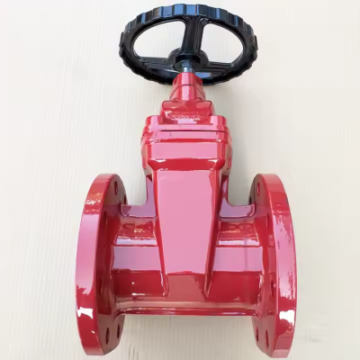 Z45X-10Q Gate Valve Z45X-16Q Soft Sealing Ductile Iron Valve Used in Water Supply photo-2