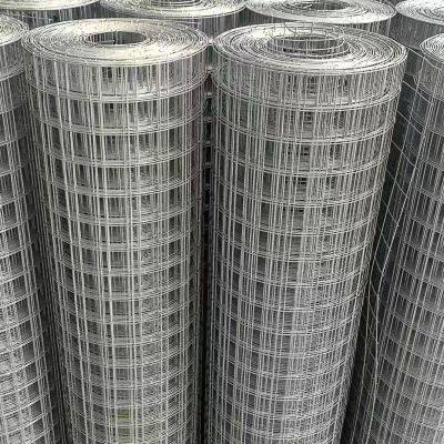 Galvanized Welded Wire Mesh Rolls 0.5mm-14mm Gauge With 1/4