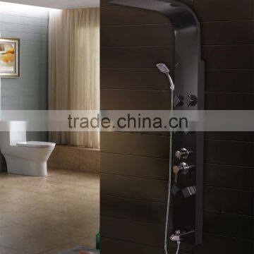 Stainless Steel Black Luxury Style Paingting Shower Panel