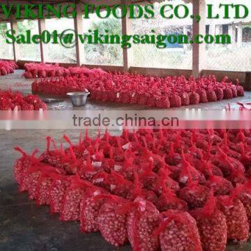 FRESH RED ONION _ FROM VIET NAM photo-2