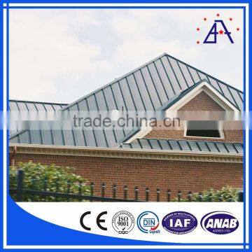 Aluminum Extruded Profile/Aluminium Ceiling Strips