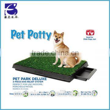 Puppy Potty Training Grass