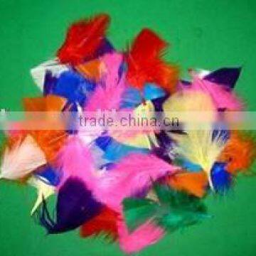 Feather/ornamental feather/colorful feathers/decorative feathers