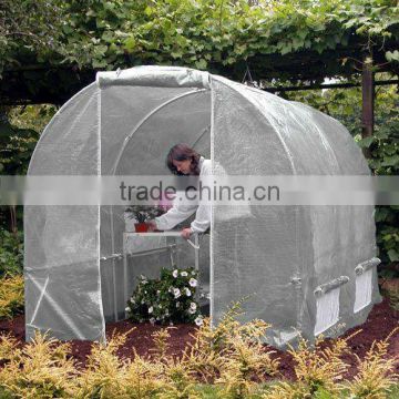 walk-in Tunnel greenhouse