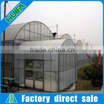 Large size and multi-span agricultural plastic mulch film greenhouses type