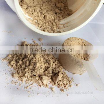 Wholesale Best Selling High in Nutrition Protein Powder Supplement Australia