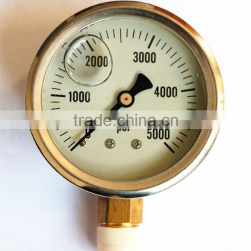 Liquid Filled Pressure Gauge