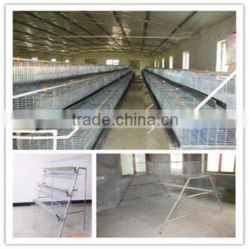 economic broiler chicken cage