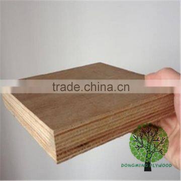 Keruing Veneer Plywood Factory in Linyi Guangdong Shipping Container Plywood photo-5