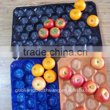 12 Cavities Alevolus Trays For Fruit