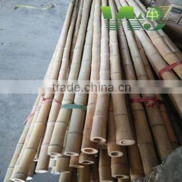 wy-z053 bamboo pole for orchard