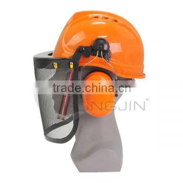 Forestry Safety Helmet with Visor and Ear Protectors