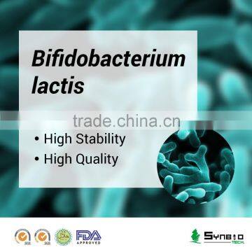 Bifidobacterium lactis